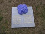 image of grave number 81464